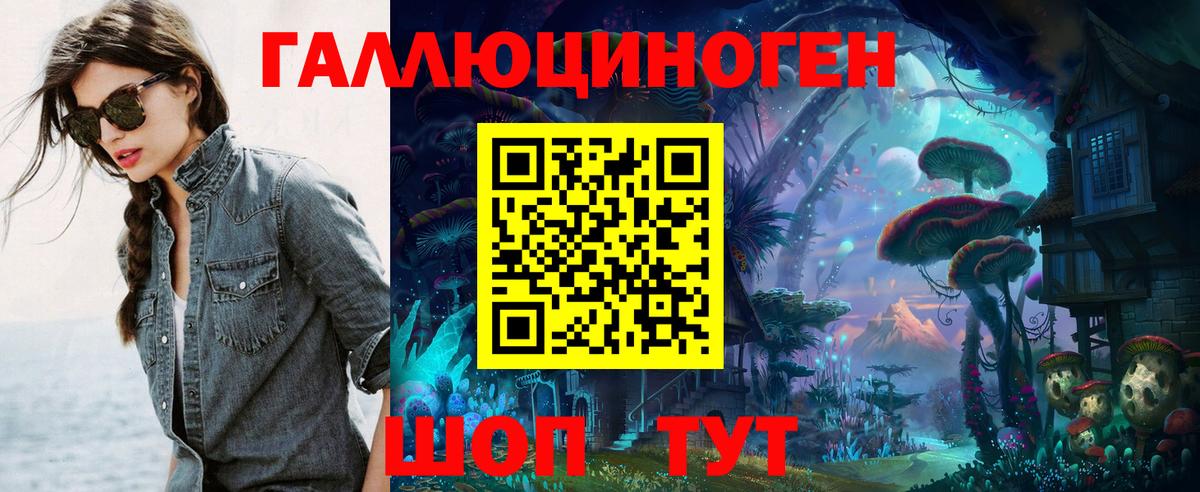 Псилоцибиновые грибы Psilocybine cubensis Елизово