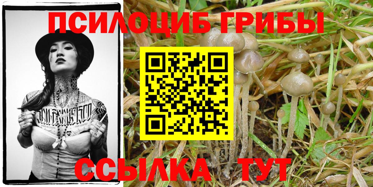 Елизово  Псилоцибиновые грибы мухоморы  Вход с VPN 